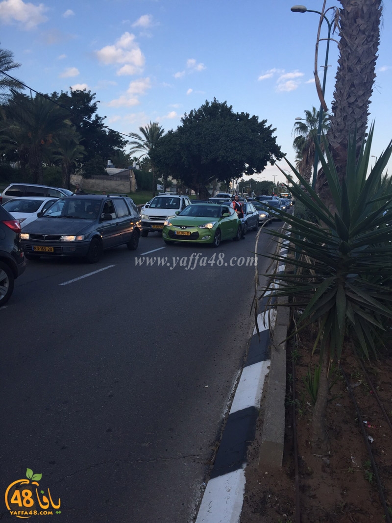 acc kid yefet3 (2).jpg